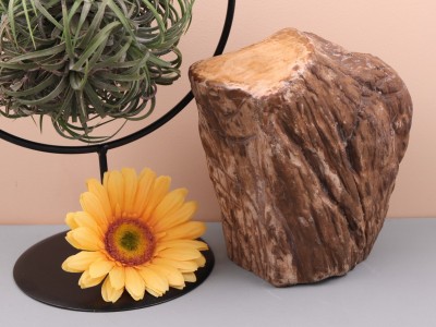 Afbeelding van Versteend Hout Stam 3003 gram